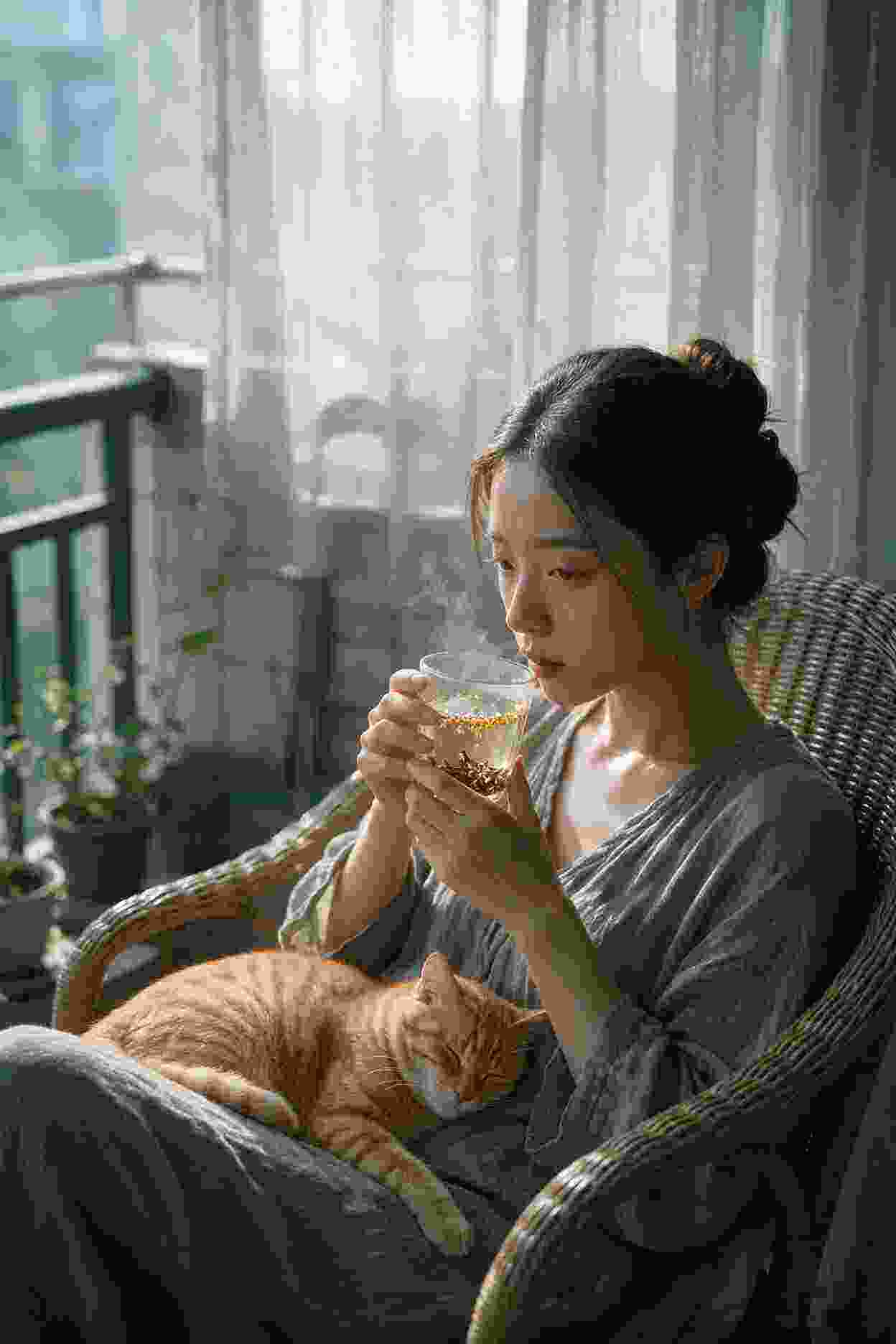 宸汐缘